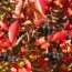 This Underrated Native Shrub Rivals Burning Bush for Fall Color – and Cardinals Love Its Berries!