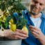 What To Do With a Lemon Tree in October – 6 Jobs to Keep Fruit Ripening Beautifully