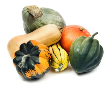 Why Your Winter Squash is Rotting From the Bottom in October – and How to Save the Rest of Your Harvest
