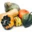 Why Your Winter Squash is Rotting From the Bottom in October – and How to Save the Rest of Your Harvest